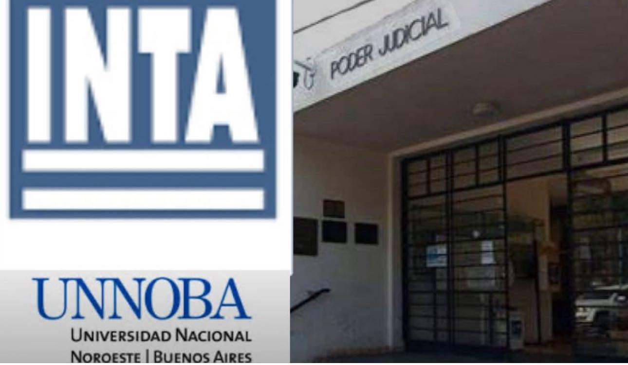'Un llamado a la reflexión y la acción en Pergamino'