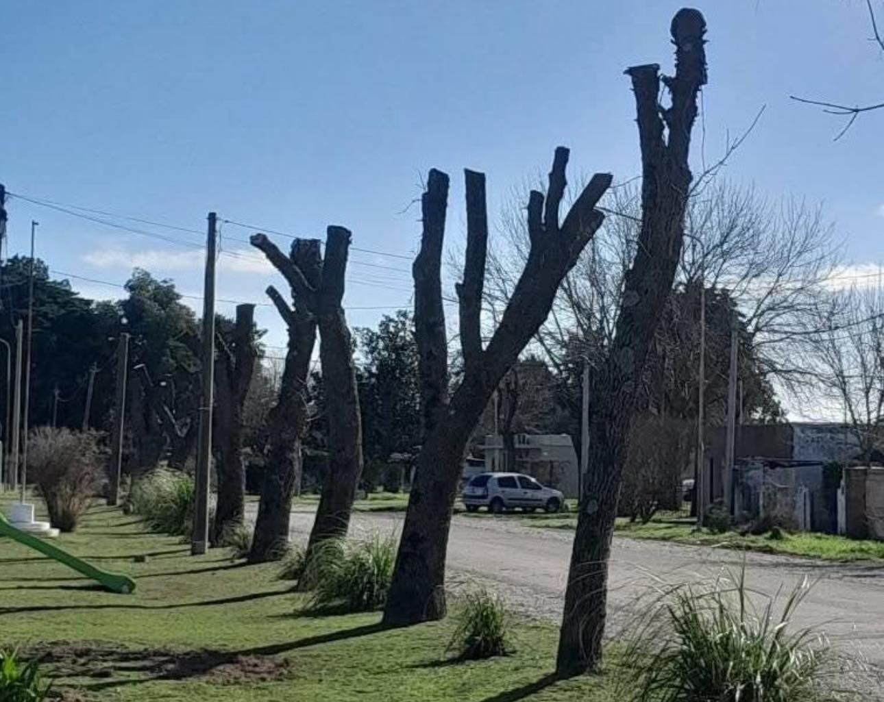 Denuncian ecocidio en Fontezuela