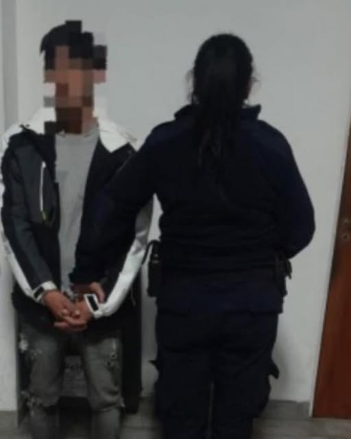 Aprehendido por daños y alteración del orden en un domicilio de calle Urquiza