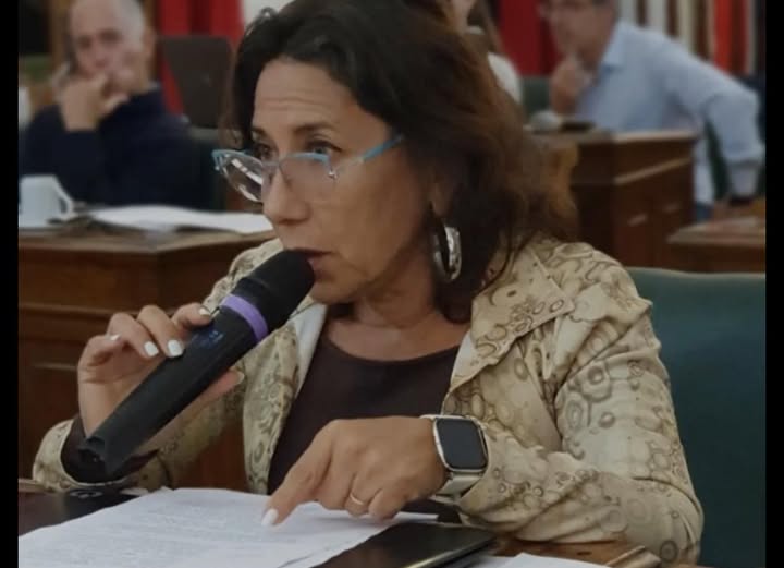 Silvia Viera: 'El presupuesto 2026 es una falta de respeto al Consejo Deliberante'