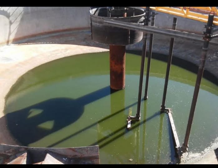 La planta depuradora de líquidos cloacales, un desastre ambiental y de salud pública