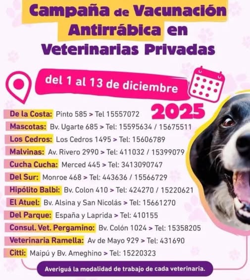 Ultima campaña de vacunación antirrábica gratuita