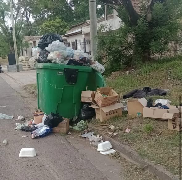 La Arquitecta Claudia Silva, ex subsecretaria del gobierno de Javier Martínez, denuncia el abandono del servicio de recolección de residuos en su barrio a través de redes sociales