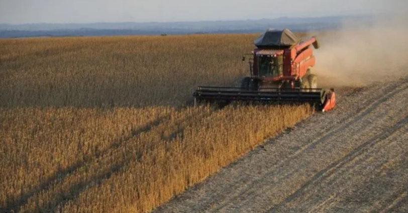 Con Niña débil y trigo récord, la campaña 2025/26 avanza con buen potencial pero alertas climáticas 