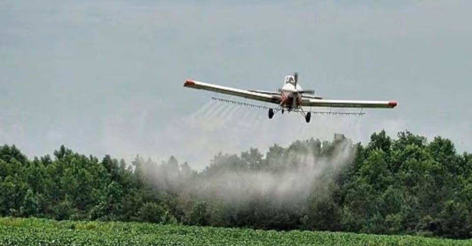 Juicio por agrotóxicos: Afirman que la 'causa cayó en un juez que quiso investigar'