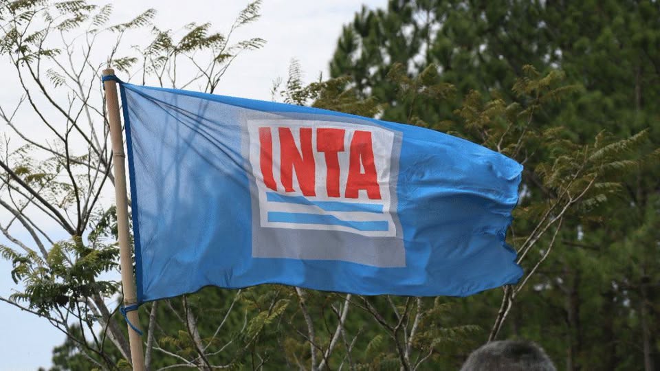 El ajuste llega a ANSES e INTA: proyectan miles de retiros voluntarios