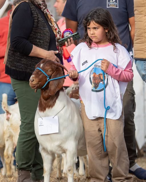 Premios, remates y negocios:  la ganadería cerró  una AgroActiva de alto nivel