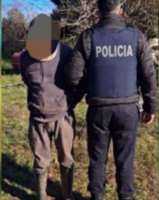 Detuvieron a un hombre de 74 años en una causa por hurto
