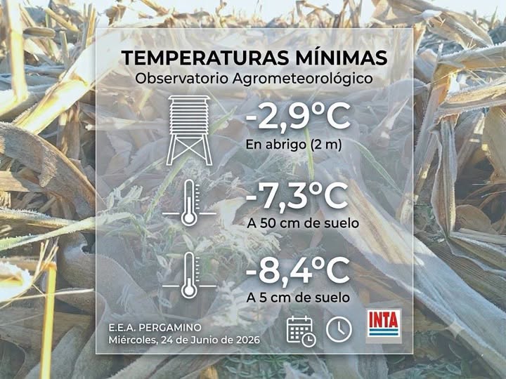 Pergamino registró una de las  mañanas más frías del año  con -8,4°C al nivel del suelo
