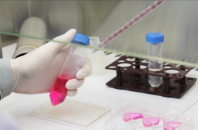 La Provincia financiará redes federales de investigación con universidades de todo el país